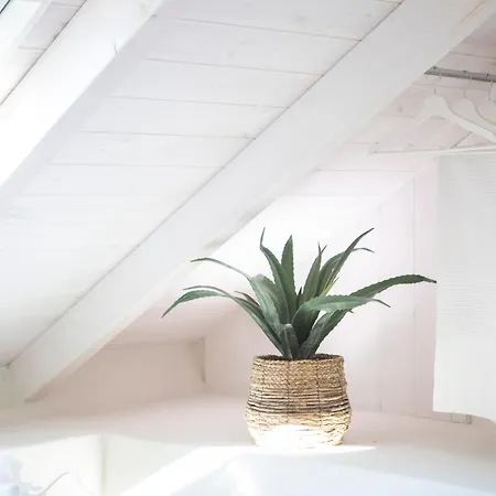 E Loft * Spartokhórion